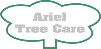 Arial Tree Care, Tree Surgeon in Bolton