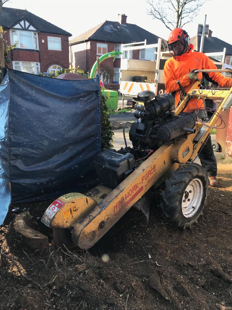 Stump grinding