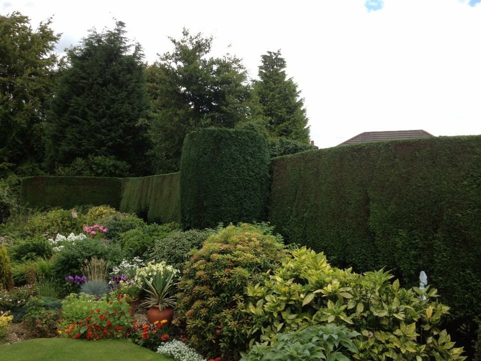 Hedging
