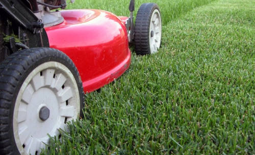 Mowing grass
